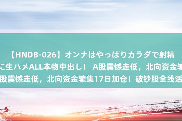 【HNDB-026】オンナはやっぱりカラダで射精する 厳選美巨乳ボディに生ハメALL本物中出し！ A股震憾走低，北向资金辘集17日加仓！破钞股全线活跃