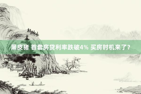 黑皮猪 首套房贷利率跌破4% 买房时机来了？