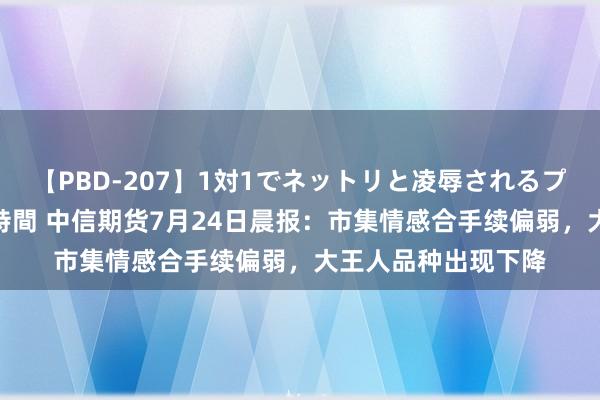 【PBD-207】1対1でネットリと凌辱されるプレミア女優たち 8時間 中信期货7月24日晨报：市集情感合手续偏弱，大王人品种出现下降