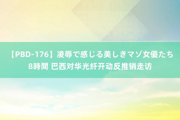 【PBD-176】凌辱で感じる美しきマゾ女優たち8時間 巴西对华光纤开动反推销走访