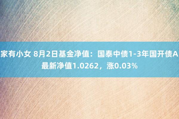 家有小女 8月2日基金净值：国泰中债1-3年国开债A最新净值1.0262，涨0.03%