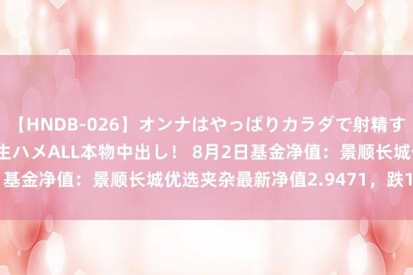 【HNDB-026】オンナはやっぱりカラダで射精する 厳選美巨乳ボディに生ハメALL本物中出し！ 8月2日基金净值：景顺长城优选夹杂最新净值2.9471，跌1.68%