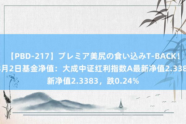 【PBD-217】プレミア美尻の食い込みT-BACK！8時間BEST 8月2日基金净值：大成中证红利指数A最新净值2.3383，跌0.24%