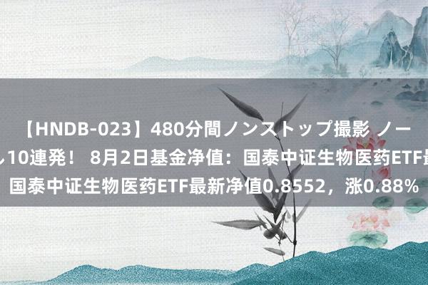 【HNDB-023】480分間ノンストップ撮影 ノーカット編集で本物中出し10連発！ 8月2日基金净值：国泰中证生物医药ETF最新净值0.8552，涨0.88%