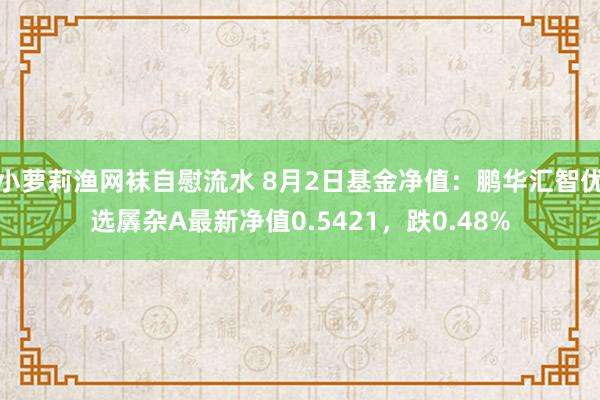 小萝莉渔网袜自慰流水 8月2日基金净值：鹏华汇智优选羼杂A最新净值0.5421，跌0.48%