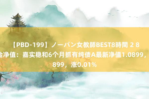 【PBD-199】ノーパン女教師BEST8時間 2 8月2日基金净值：嘉实稳和6个月抓有纯债A最新净值1.0899，涨0.01%