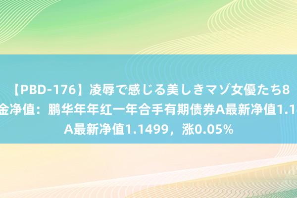 【PBD-176】凌辱で感じる美しきマゾ女優たち8時間 8月2日基金净值：鹏华年年红一年合手有期债券A最新净值1.1499，涨0.05%