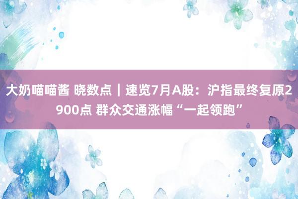 大奶喵喵酱 晓数点｜速览7月A股：沪指最终复原2900点 群众交通涨幅“一起领跑”