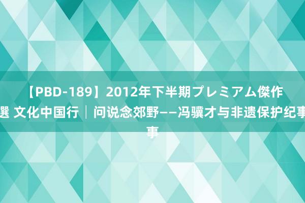 【PBD-189】2012年下半期プレミアム傑作選 文化中国行│问说念郊野——冯骥才与非遗保护纪事