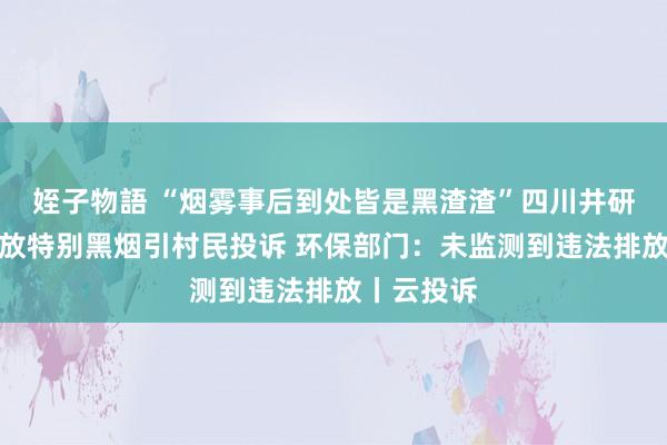 姪子物語 “烟雾事后到处皆是黑渣渣”四川井研一企业排放特别黑烟引村民投诉 环保部门：未监测到违法排放丨云投诉