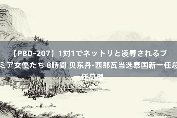 【PBD-207】1対1でネットリと凌辱されるプレミア女優たち 8時間 贝东丹·西那瓦当选泰国新一任总理