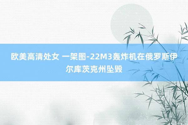 欧美高清处女 一架图-22M3轰炸机在俄罗斯伊尔库茨克州坠毁