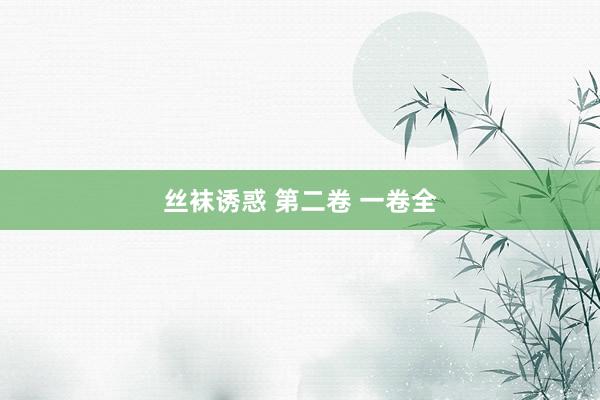 丝袜诱惑 第二卷 一卷全