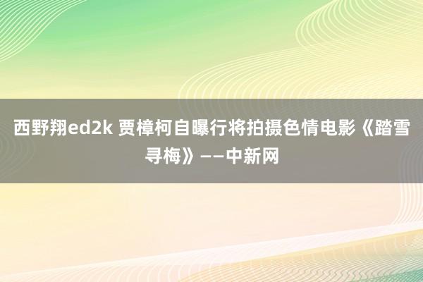 西野翔ed2k 贾樟柯自曝行将拍摄色情电影《踏雪寻梅》——中新网