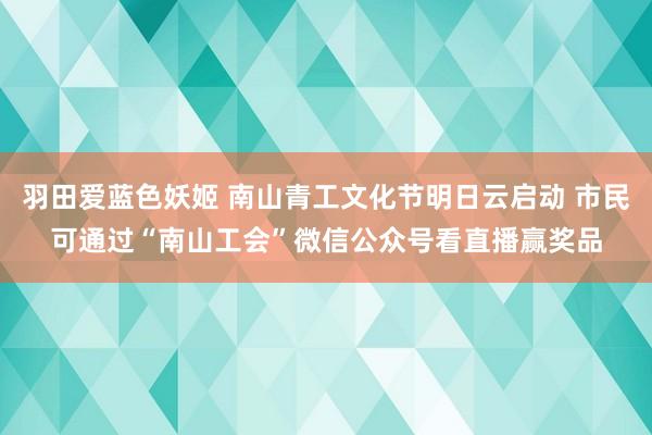 羽田爱蓝色妖姬 南山青工文化节明日云启动 市民可通过“南山工会”微信公众号看直播赢奖品