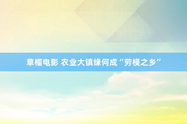 草榴电影 农业大镇缘何成“劳模之乡”